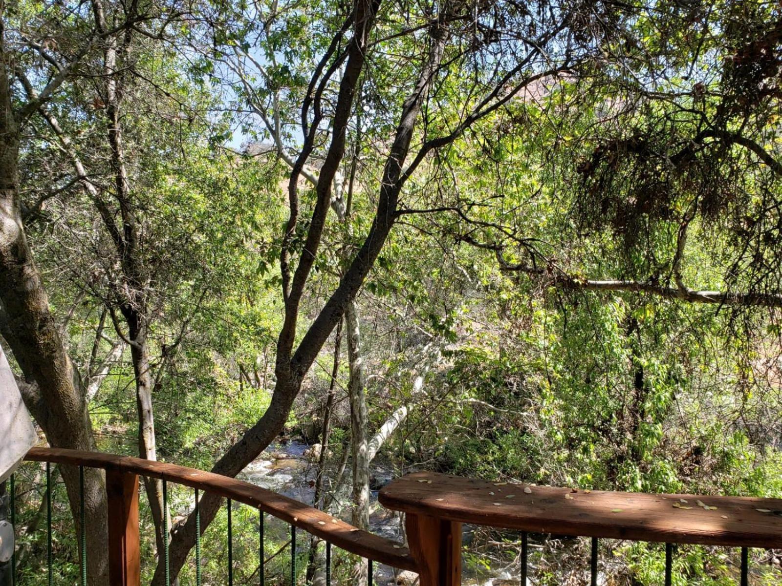 Riverfront Retreat- Spa/hot Tub, Game Room, Limited Gym Hébergement de vacances *